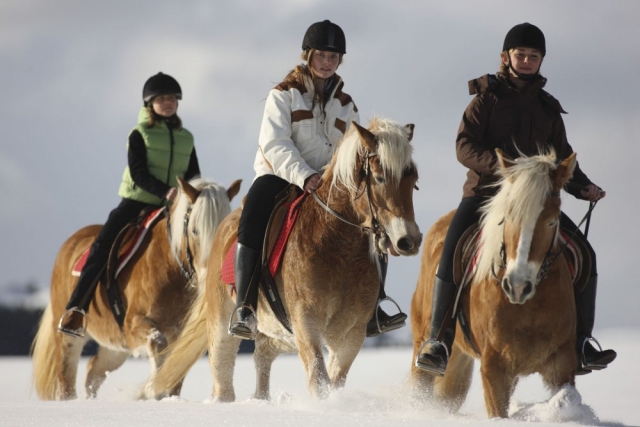 ¡elige nuestros pbaños!