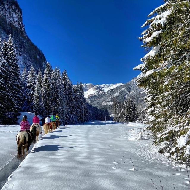  Caminando por la naturaleza y la nieve