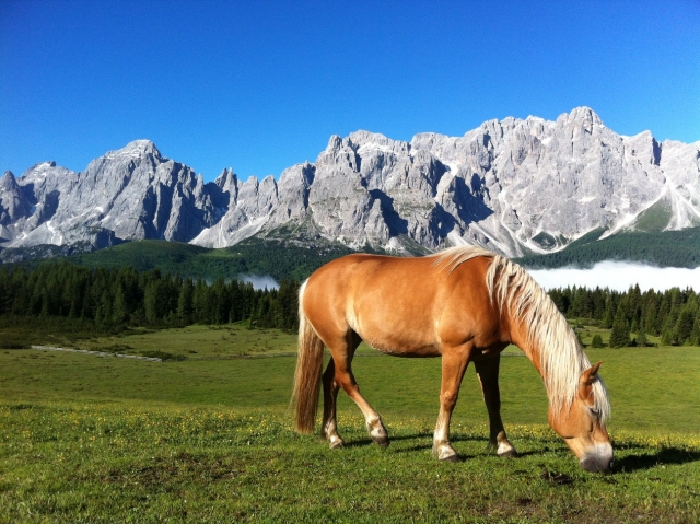 ¡Los Dolomitas le están esperando!