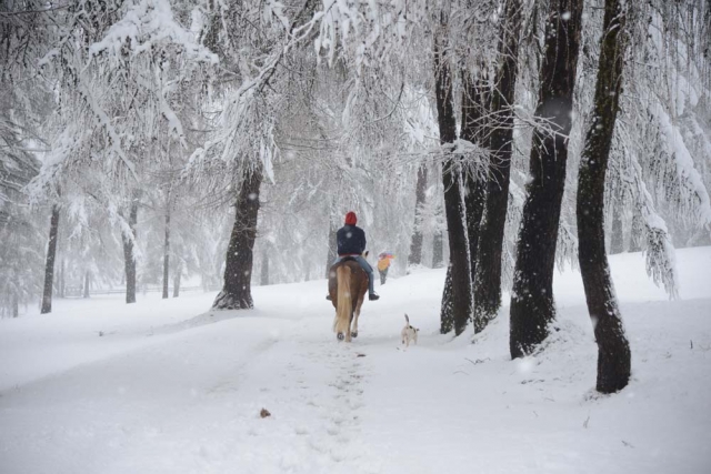 un paseo por la nieve regenera los sentidos