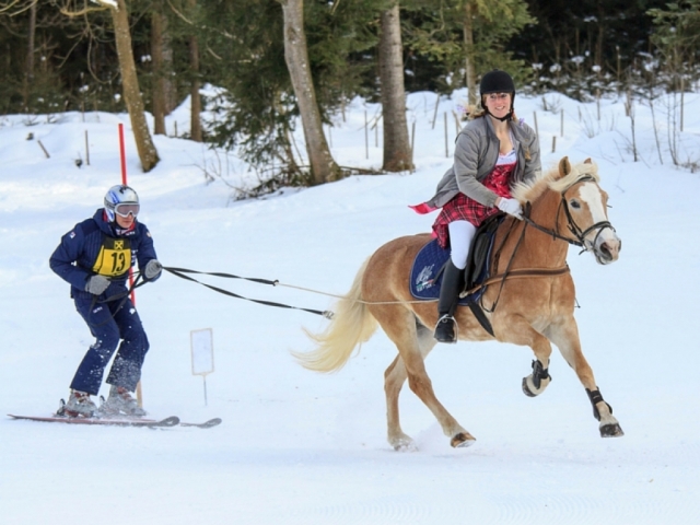 ¡Que comience la aventura! 