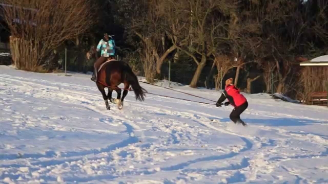 ¡La adrenalina y la diversión están aseguradas! 