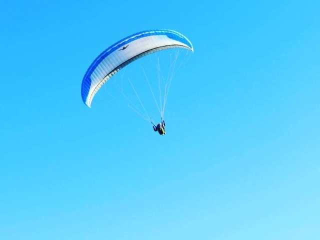  Duranle un vuelo. 