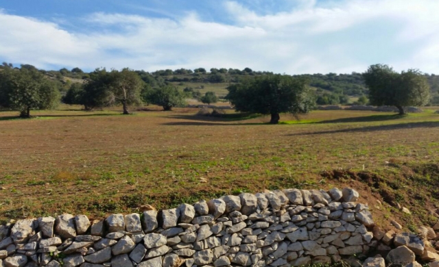 naturaleza incontaminada esperando solo por usted