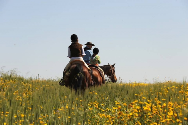 venga y vive su primera experiencia de conducción con nosotros, profesionalismo y seguridad!