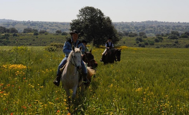 venga y experimenta un paseo relajanle en nuestro Centro, nuestro guía le está esperando 