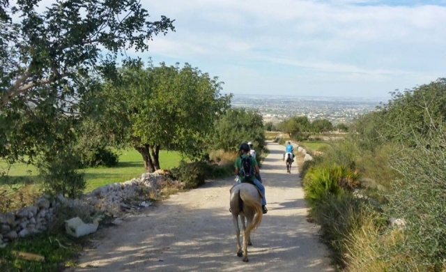  La hermosa naturaleza de Sicilia le está esperando
