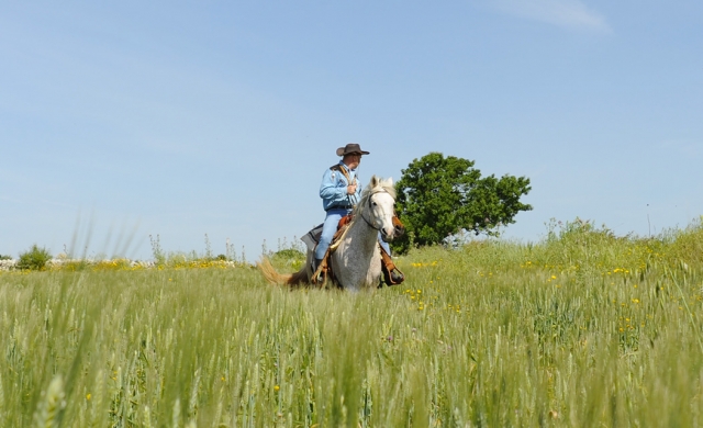 la belleza de los campos!