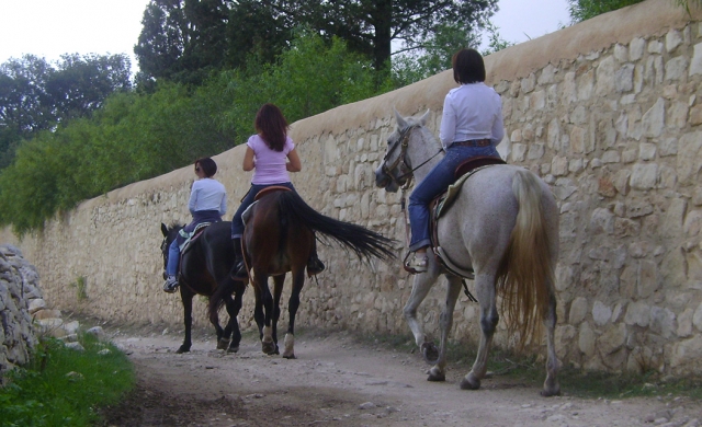  nuestros caballos son hermosos 