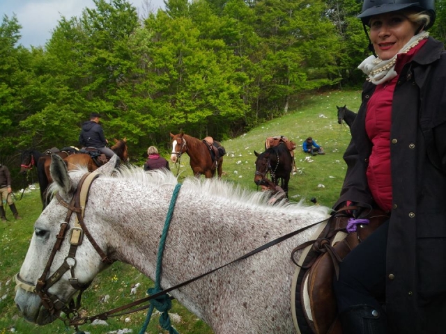  nuestros caballos son maravillosos 