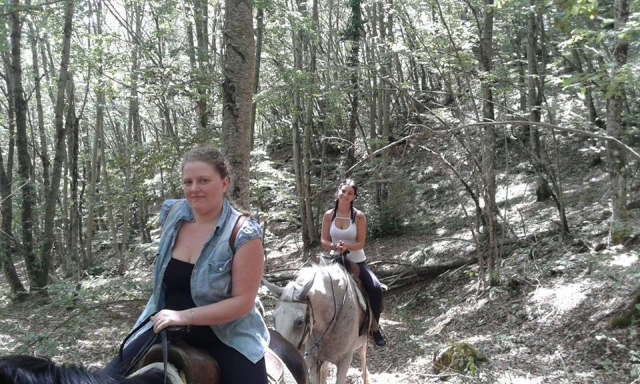  ¿qué le parece? Disfruta de un paseo con nosotros 