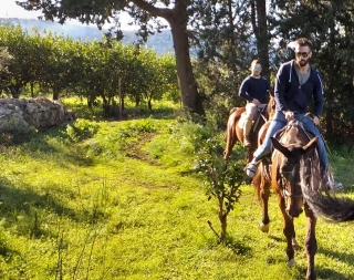 Paseo a caballo a los Monasterios de Sotto 1 hora