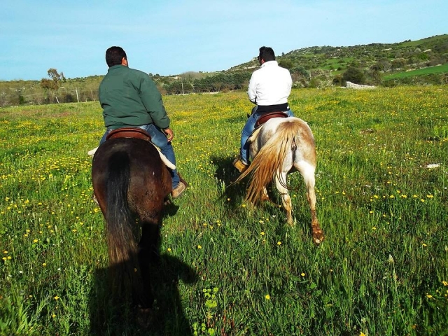 ¡Nuestros pbaños le están esperando! 