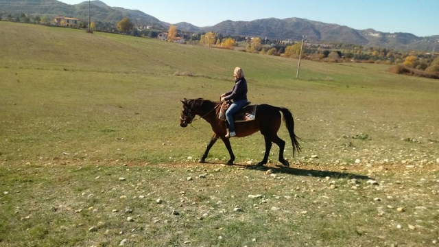 venga y descubre la belleza
