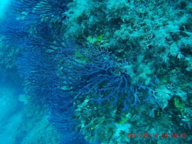 ¡El Mediterráneo es maravilloso!