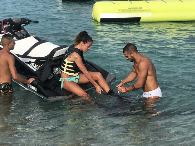  preparación 