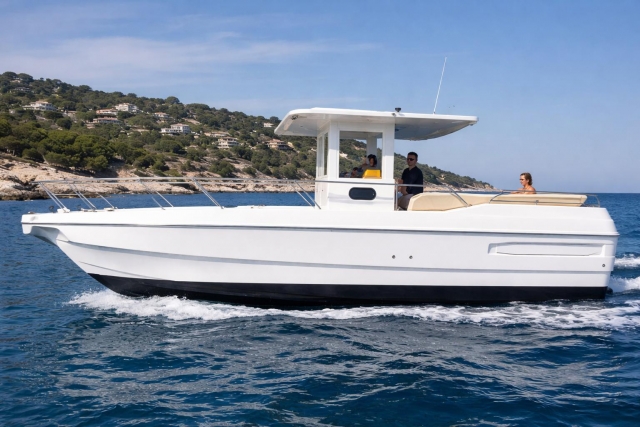 Excursión en barco Viesle 8 horas