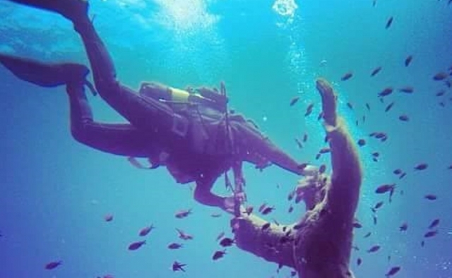 Descubriendo la belleza de las profundidades