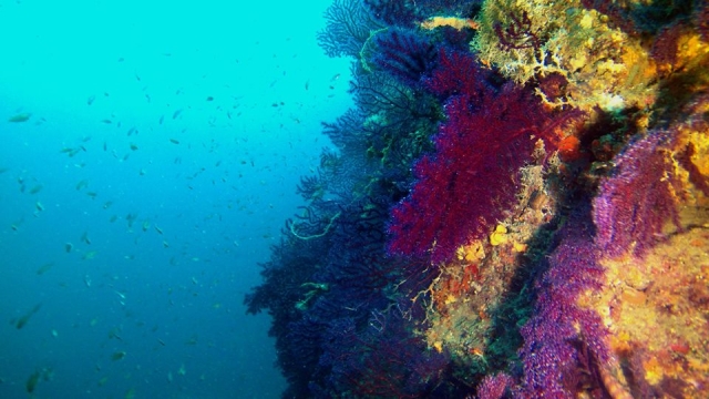 La belleza de la naturaleza