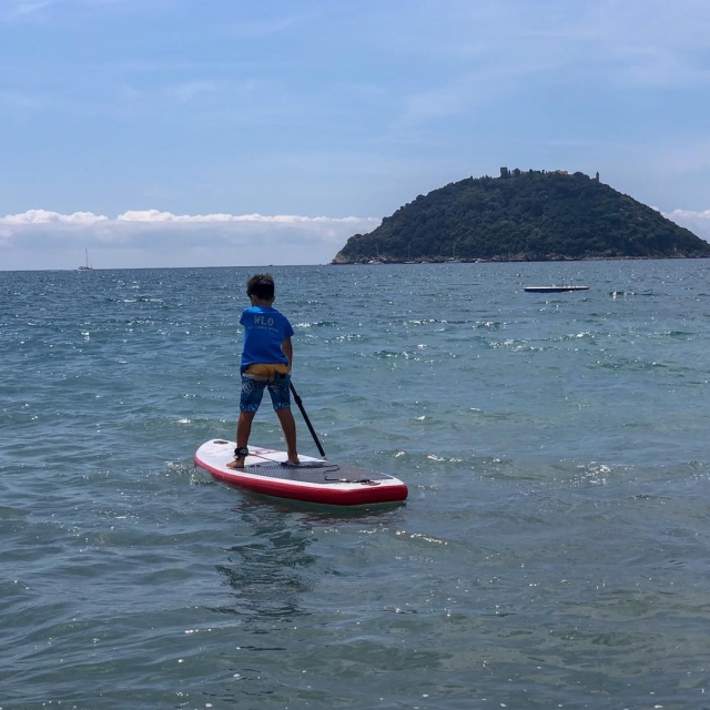  Paddle Surf