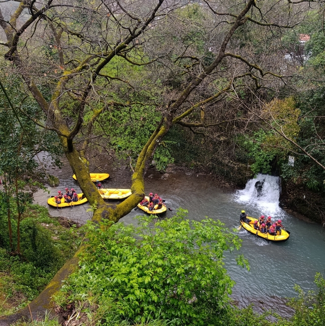  Ruta de rafting entre el verde