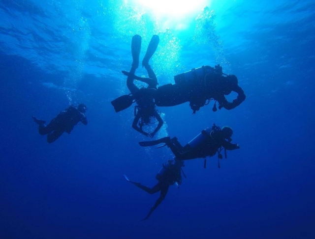 Curso de reactivación PADI Open Water Diver