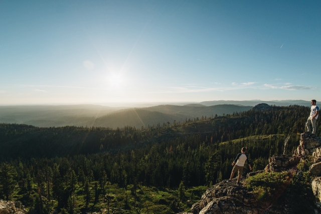La vista 