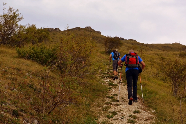 Un paseo por la naturaleza 