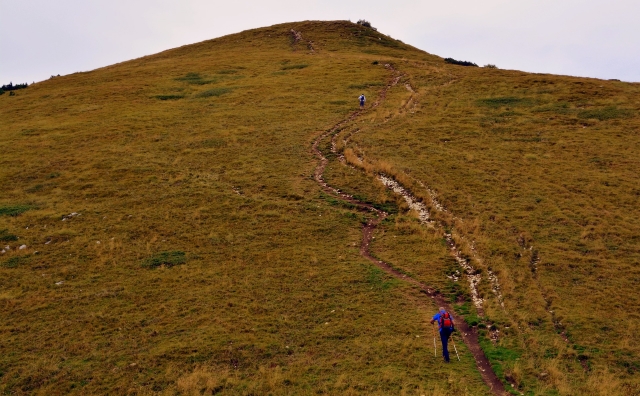  Subiendo la cerro 