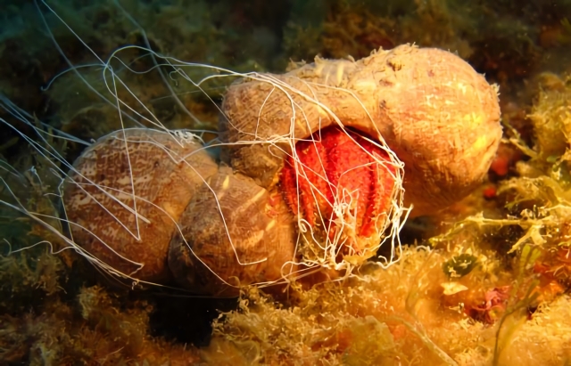 La belleza de la naturaleza que nos rodea