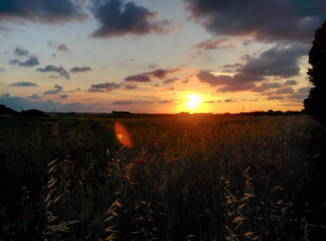  el atardecer 