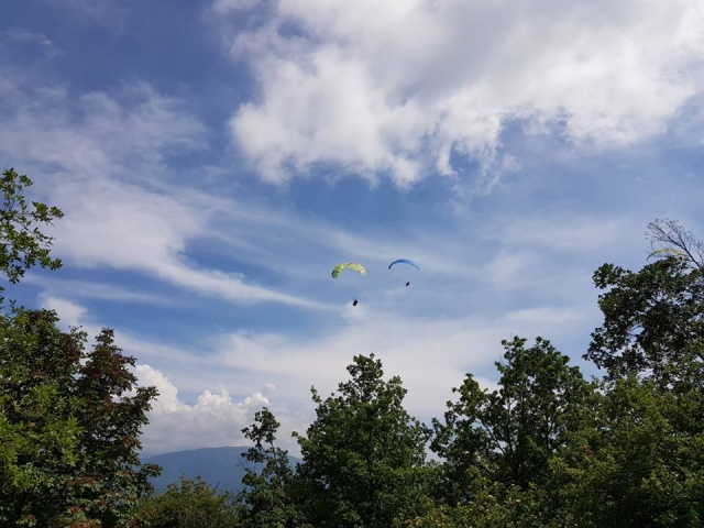  Siempre es mejor volar en compañía