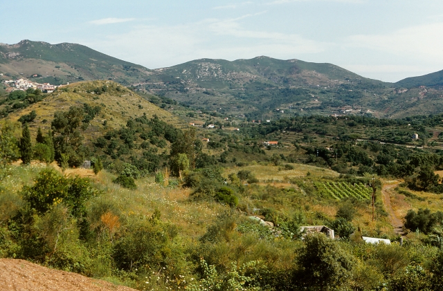  Las vistas de la Isla de Elba 