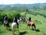 Paseo a caballo de 2 horas en Verona