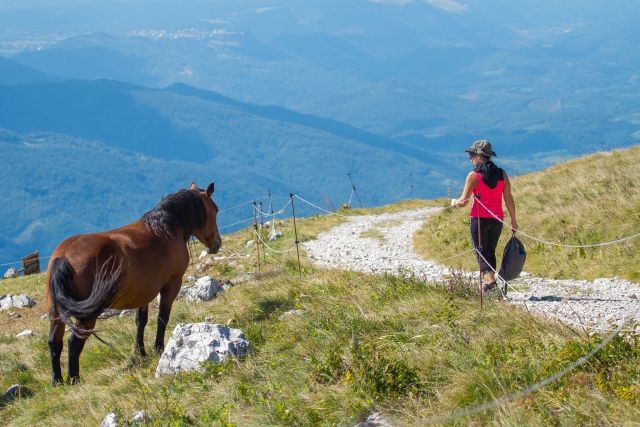 Inmerso en la naturaleza