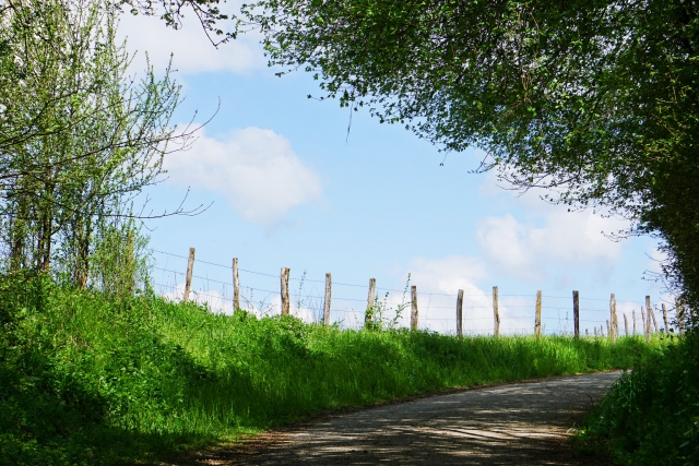  Belleza rural 