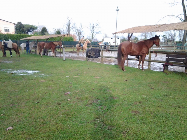  Nuestras caballerizas 