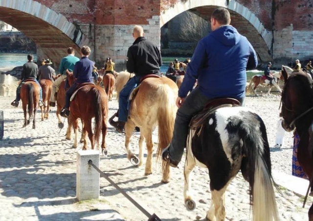 Los caballos y la naturaleza   Los caballos y la naturaleza