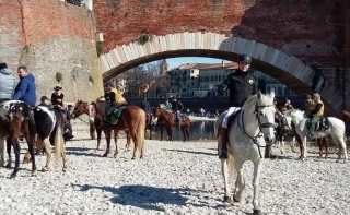 Excursión de medio día a caballo a Verona con almuerzo.
