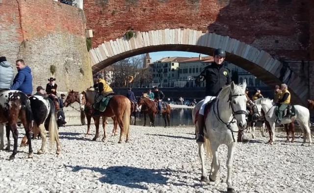 Excursión de medio día a caballo a Verona con almuerzo. Excursión de medio día a caballo a Verona con almuerzo.