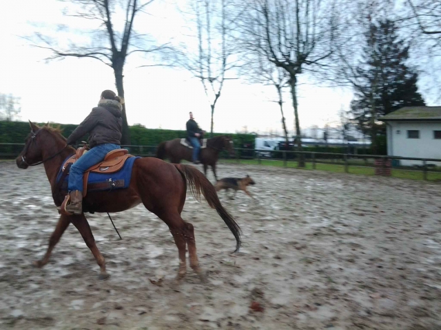  A caballo 