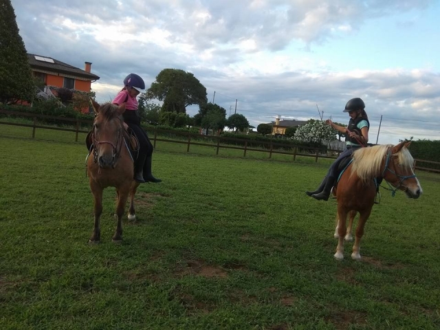  Un paseo por el campo 