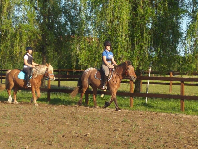  Probando en el paddock