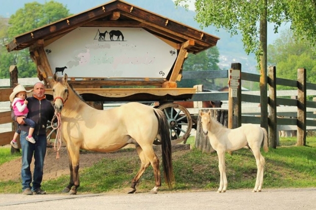  p-61991-dallapiccola-cavalli-modificata_15597242694715