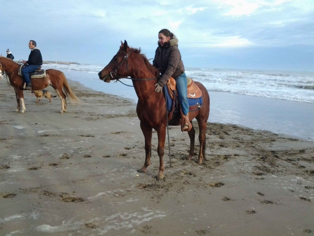  Paseo por la playa 