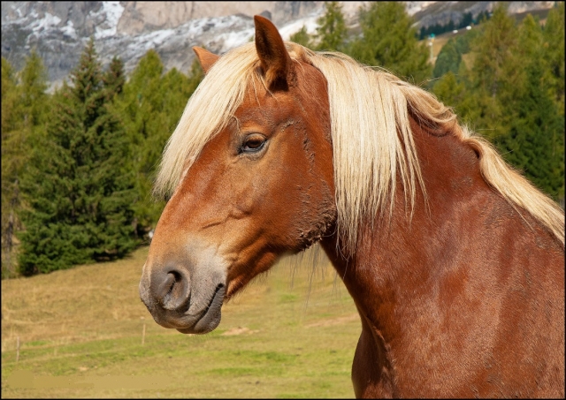 Una mirada llena de dulzura