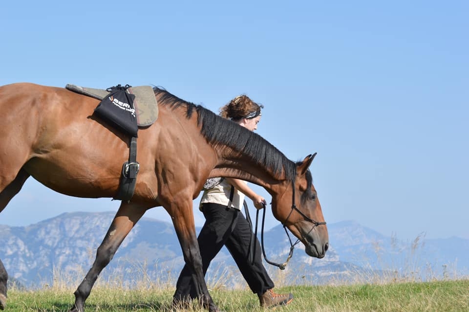 Uno de nuestros corceles