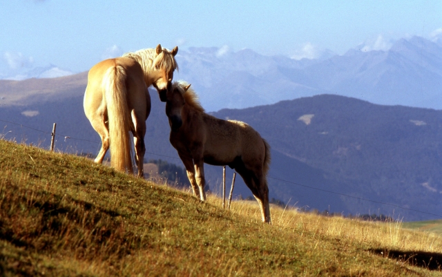  Rodeado de cerros 