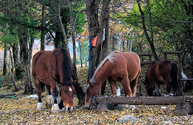En medio de la naturaleza 