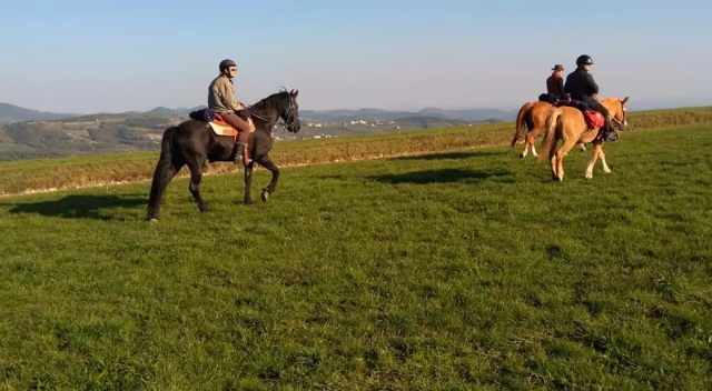 Paseo a caballo en Verona con merienda 8 horas
